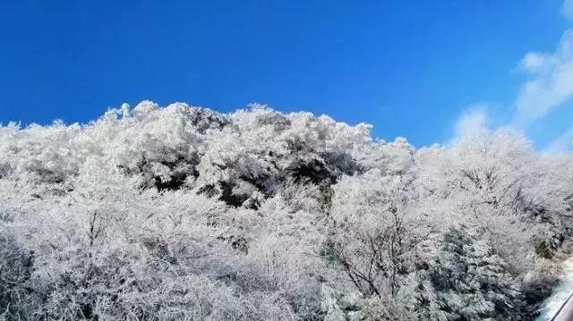 半导体集体回落,半导体设备ETF跌3%,5天净流入5000万